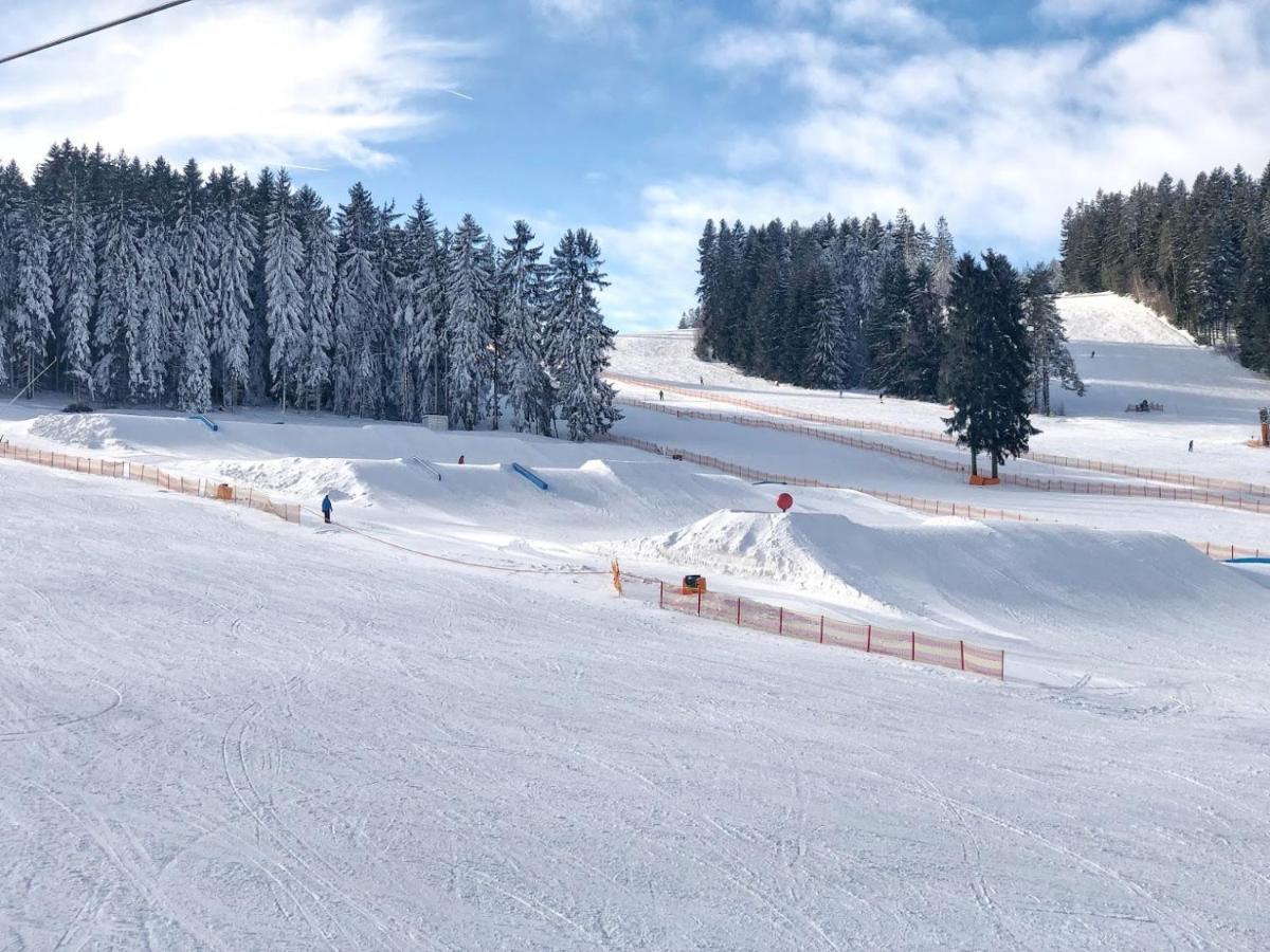 Fontana Lipno Hotel Černá v Pošumaví Eksteriør billede